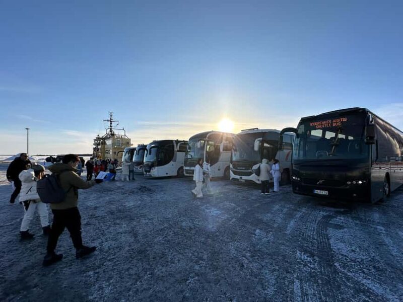 From Rovaniemi: Icebreaker Arktis Cruise with Ice Floating - Physical Demands and Accessibility Considerations
