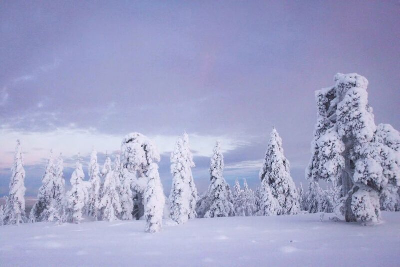 From Rovaniemi: Korouoma Canyon and Frozen Waterfalls Tour - Discover Korouoma Canyon and Frozen Waterfalls Near Rovaniemi for $165