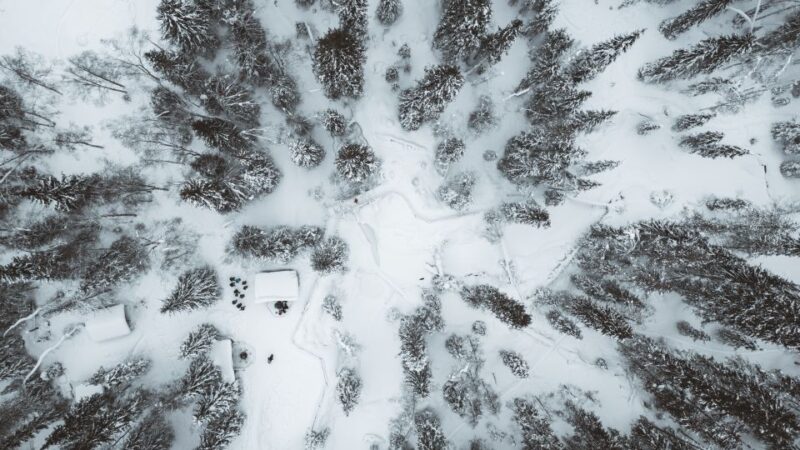 From Rovaniemi: Korouoma Canyon and Frozen Waterfalls Tour - Hiking Through the Korouoma Canyon’s Frozen Beauty