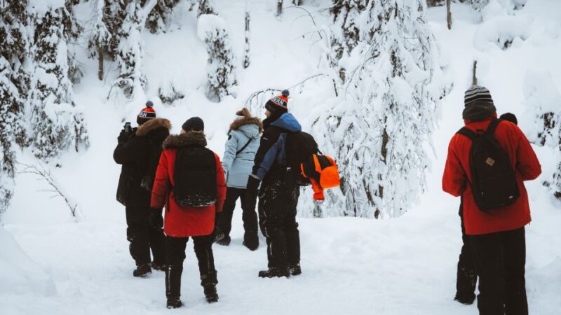 From Rovaniemi: Korouoma Canyon and Frozen Waterfalls Tour - Logistics: Easy Pickup and Flexible Scheduling