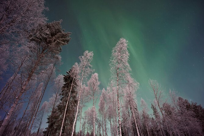 From Rovaniemi: Northern Lights Tour with Campfire Snacks - Discover the Cozy Northern Lights Adventure from Rovaniemi