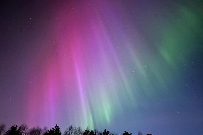 From Rovaniemi: Northern Lights Tour with Campfire Snacks - Key Points