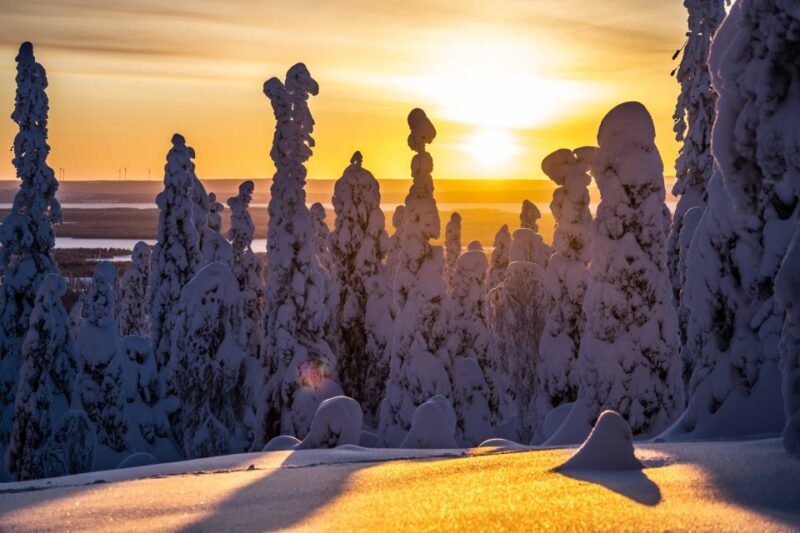 From Rovaniemi: Riisitunturi Full-Day Wilderness Adventure - Key Points