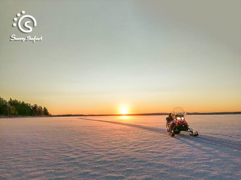 From Rovaniemi: Snowmobile Safari into Arctic Wilderness - Snowmobile Riding Over Arctic White Plains and Forest Trails
