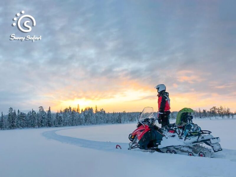 From Rovaniemi: Snowmobile Safari into Arctic Wilderness - Suitability and Restrictions for the Snowmobile Safari