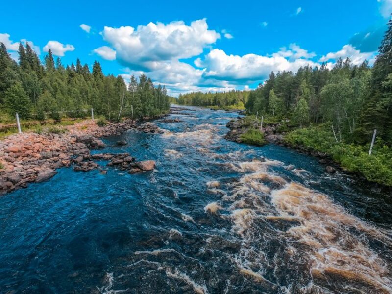 From Rovaniemi: Vikaköngäs Forest Hiking Tour - Crossing the Wooden Hanging Bridge and Listening to Water Roar