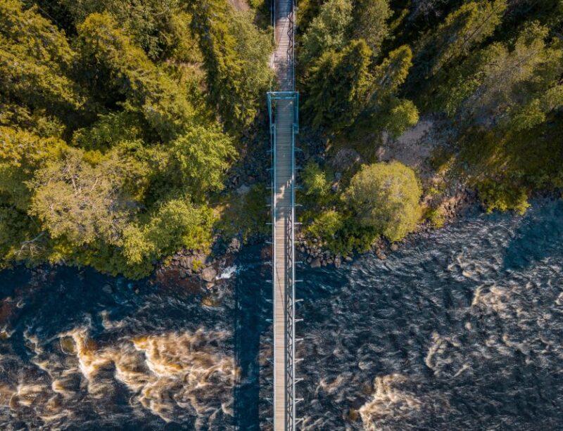 From Rovaniemi: Vikaköngäs Forest Hiking Tour - Unique Activities Along the Trail and Scenic Viewpoints