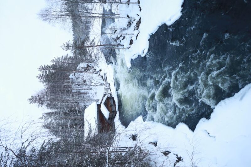 From Ruka: Snowshoeing in Oulanka National Park - Wildlife Spotting in the Snowy Forests