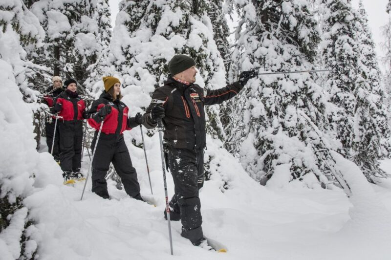 From Ruka: Snowshoeing in Oulanka National Park - Flexibility and Cancellation Policies