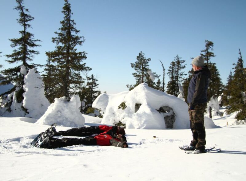 From Ruka: Snowshoeing in Riisitunturi National park - Climbing Up to Panoramic Wilderness Views