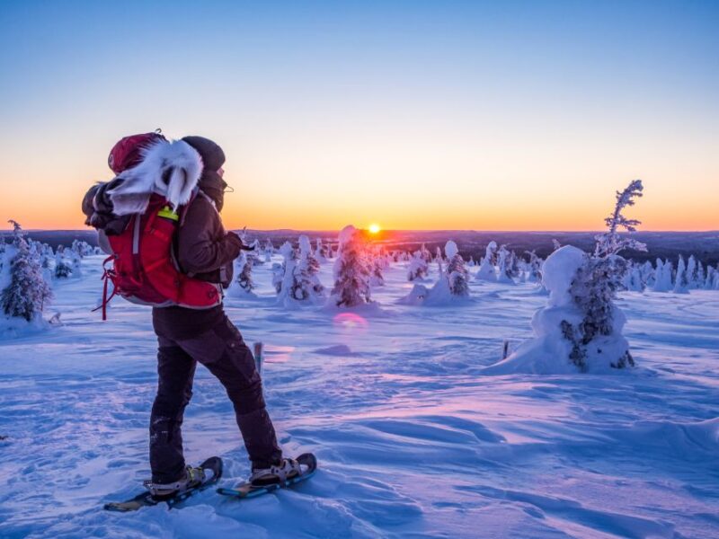 From Ruka: Snowshoeing in Riisitunturi National park - Learning About Arctic Nature Along the Trail