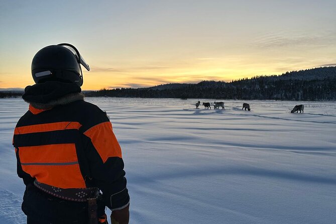 From Saariselkä: Ice Fishing Tour to Lake Inari, reindeers &lunch - Scenic Views and Tranquil Wilderness at Lake Inari