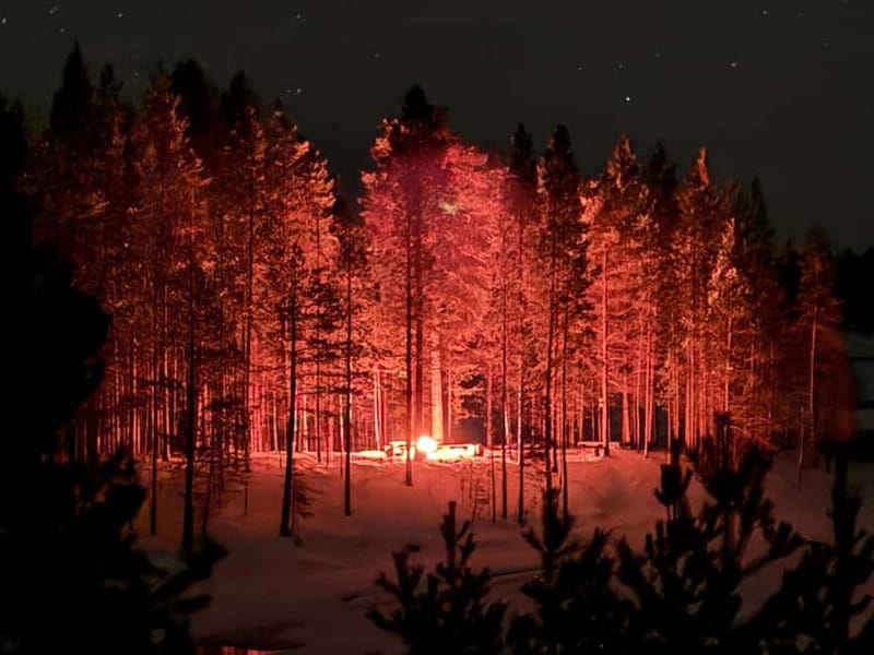 From Saariselkä/Inari: Aurora Hunting Tour, campfire&snacks - Key Points