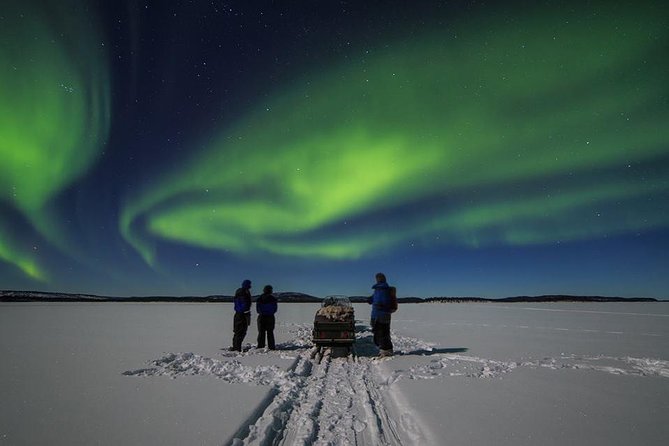 From Saariselkä: Northern lights tour to Lake Inari, incl. dinner - Key Points