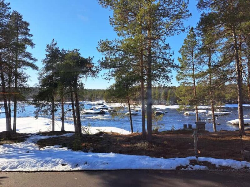 From Saariselka: Trip to Inari, Janiskoski and Siida Museum - Visiting the Sámi Museum Siida