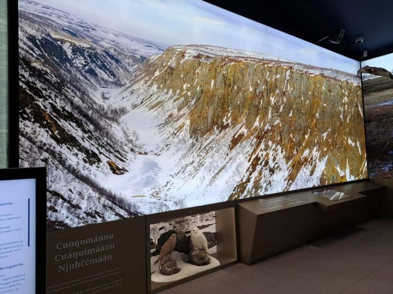 From Saariselka: Trip to Inari, Janiskoski and Siida Museum - Physical Requirements and What to Bring