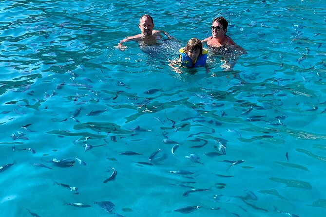From Sagone/Cargèse: Coves of Piana sea cave Snorkeling - Why This Tour Stands Out Among Corsican Cruises