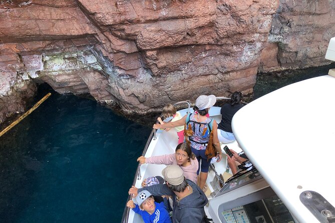 From Sagone/Cargèse: Scandola Calanques Piana Girolata Swimming - Marvel at the Gulf of Porto’s Reddish Cliffs and Biodiversity