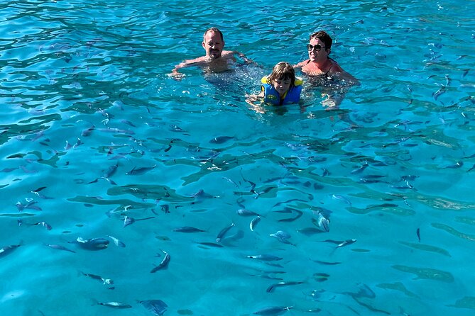 From Sagone/Cargèse: Scandola Girolata Calanques Piana Snorkeling - Capo Rosso and Its Natural Wonders