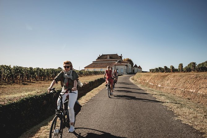 From Saint-Emilion : Electric Bike Day Tour with Wine Tastings and Picnic Lunch - Scenic Views of Saint-Emilion’s Vineyards and Villages
