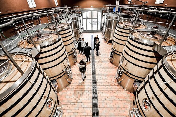 From Saint-Emilion : Half Day Electric bike Wine Tour - Key Points