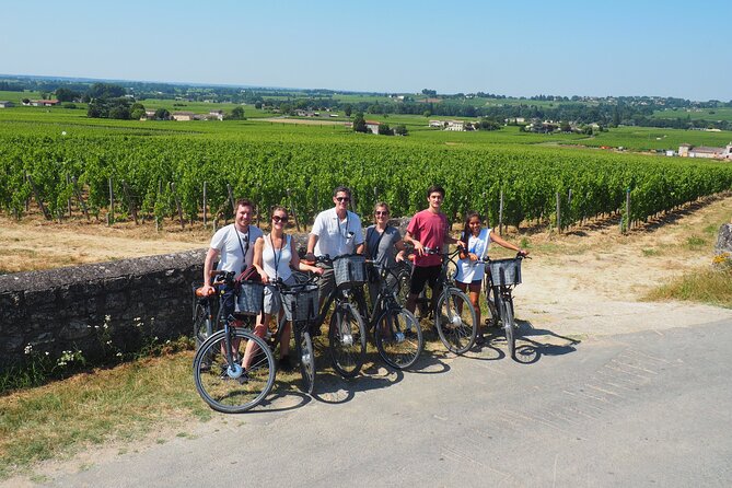 From Saint-Emilion : Half Day Electric bike Wine Tour - Picnic Lunch at Les Domaines De Moncets