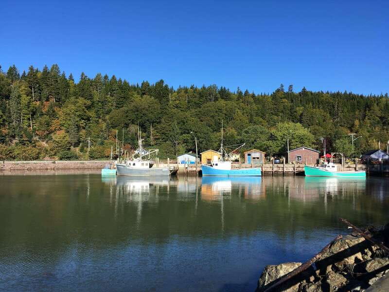 From Saint John: Bay of Fundy Bus Trip for Cruise Passengers - Key Points