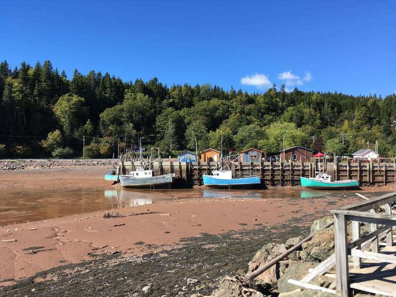 From Saint John: Bay of Fundy Bus Trip for Cruise Passengers - From the Saint John Cruise Terminal to the Reversing Falls Rapids