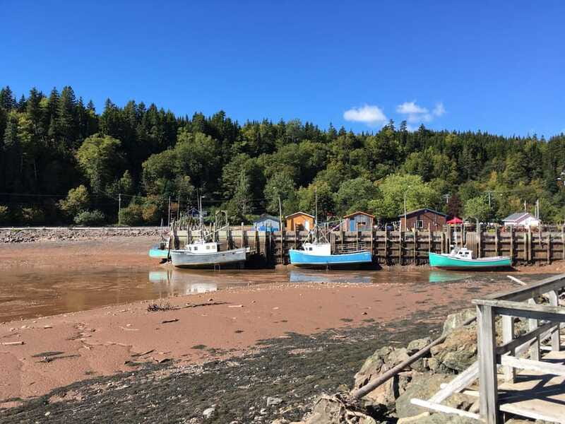 From Saint John: Bay of Fundy Bus Trip for Cruise Passengers - Practical Tips for Participants