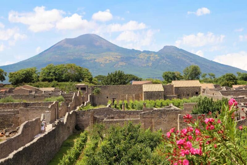 From Salerno_Pompeii Express_bus+ skip the line ticket - A Complete Day with Lunch and Free Time in Pompeii