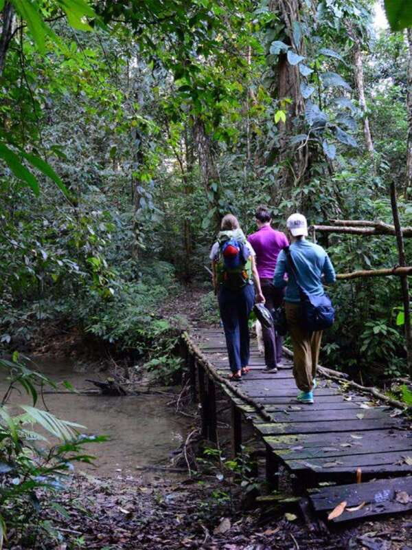 From San Cristóbal: Lacandona Jungle 3 Days Tour - The Scenic Stops: Agua Azul and Misolha Waterfalls