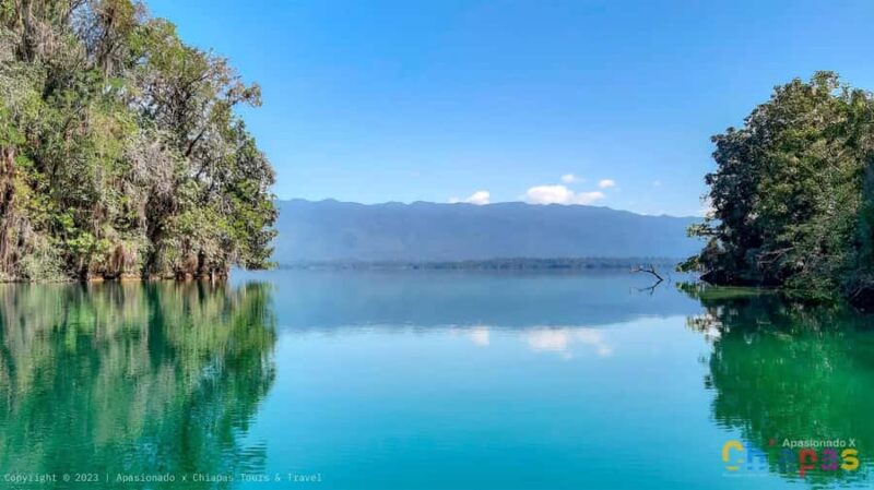 From San Cristóbal: Miramar Lagoon Hidden Paradise - The Sum Up: An Off-the-Beaten-Path Escape into Chiapas’ Wilderness
