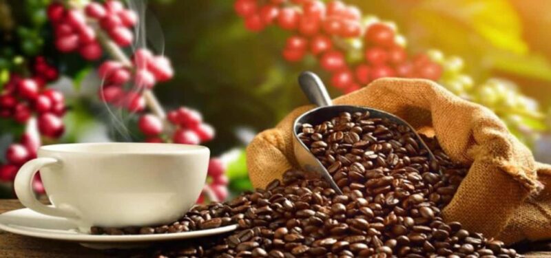 From San Cristóbal: Walking City tour - Exploring the José Castillo Tielemans Market