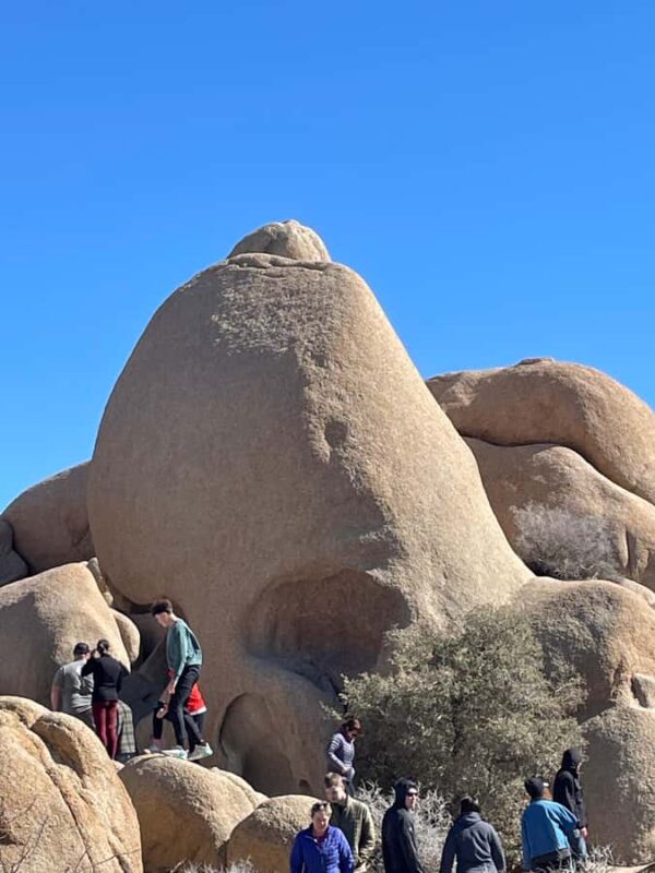 From San Diego: Joshua Tree National Park Private Tour - Key Points