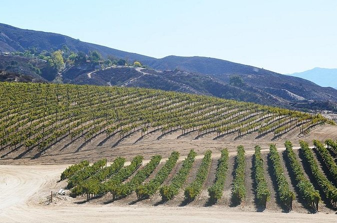 From San Diego Temecula Wine Country Tour - Cancellation Policy and Flexibility