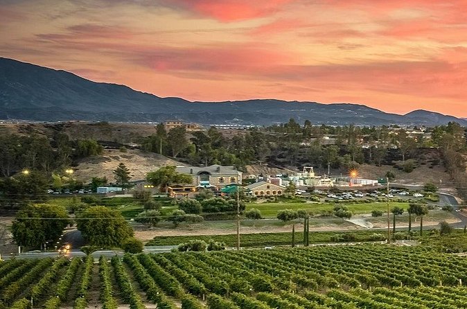 From San Diego Temecula Wine Country Tour - Comparing This Tour to Other San Diego Activities