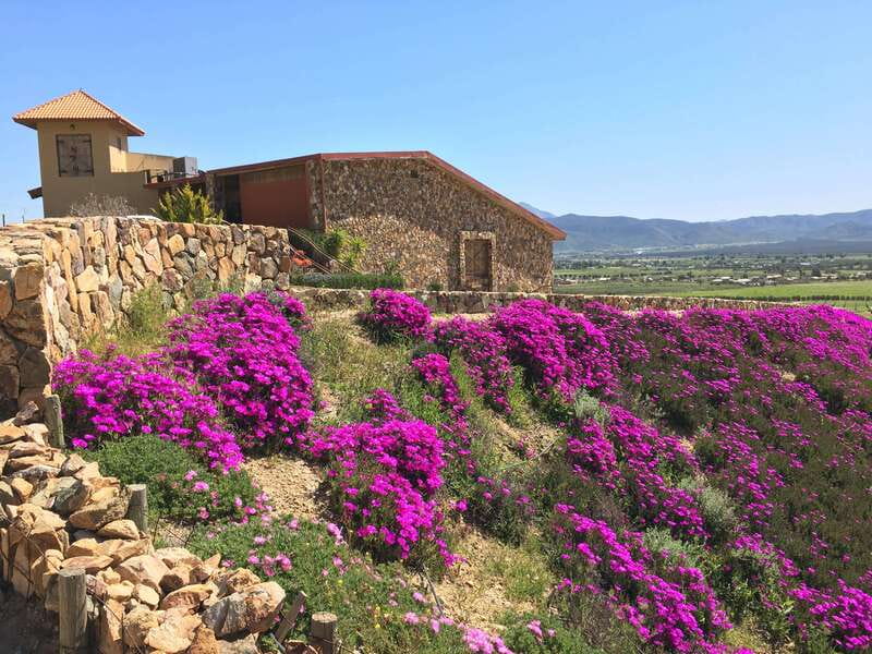 From San Diego: Valle de Guadalupe Private Wine Tasting Tour - The Return Journey and Estimated Arrival in San Diego