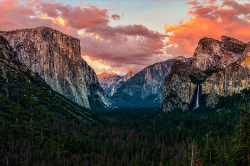 From San Francisco: Alcatraz Day and Yosemite Day Tour - Who Will Enjoy This Tour?