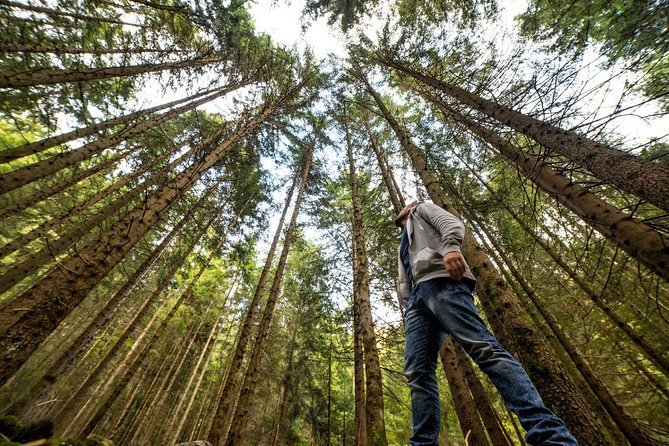 From San Francisco: Alcatraz Island & Guided Muir Woods Tour - Scenic Drive Over the Golden Gate Bridge to Muir Woods
