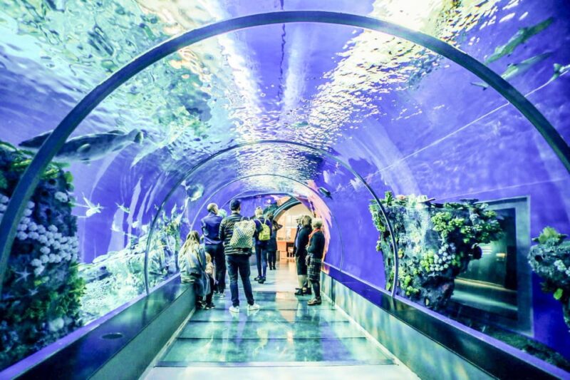 From San Francisco: Alcatraz Night Tour, Muir Woods and Wine - Transportation, Group Size, and Practical Details