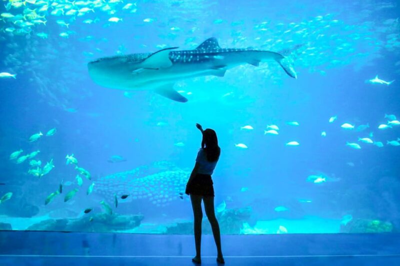 From San Francisco: Alcatraz Night Tour, Muir Woods and Wine - Timing and Pacing for a Fully Enjoyable Experience