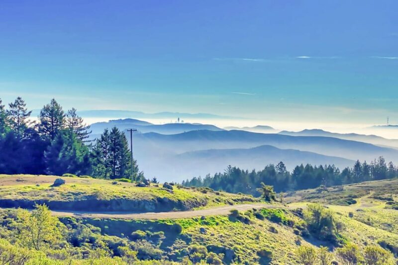 From San Francisco: Alcatraz Night Tour, Muir Woods and Wine - Unique Aspects That Make This Tour Stand Out