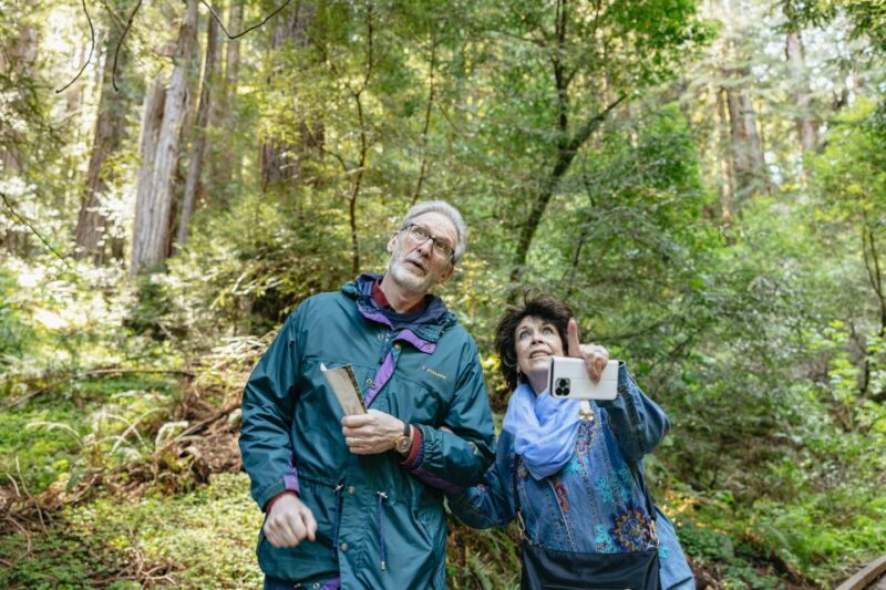 From San Francisco: Guided Muir Woods Tour - Practical Tips and Considerations