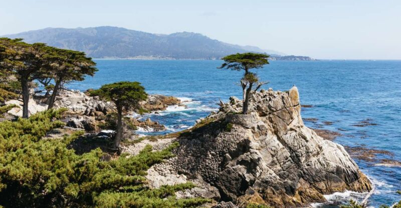 From San Francisco: Monterey and Carmel Day Tour - Scenic Drive Along Highway 1 to Monterey Peninsula