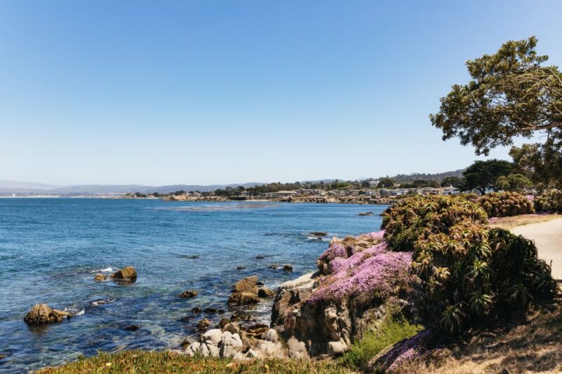 From San Francisco: Monterey and Carmel Day Tour - Suitability for Different Travelers