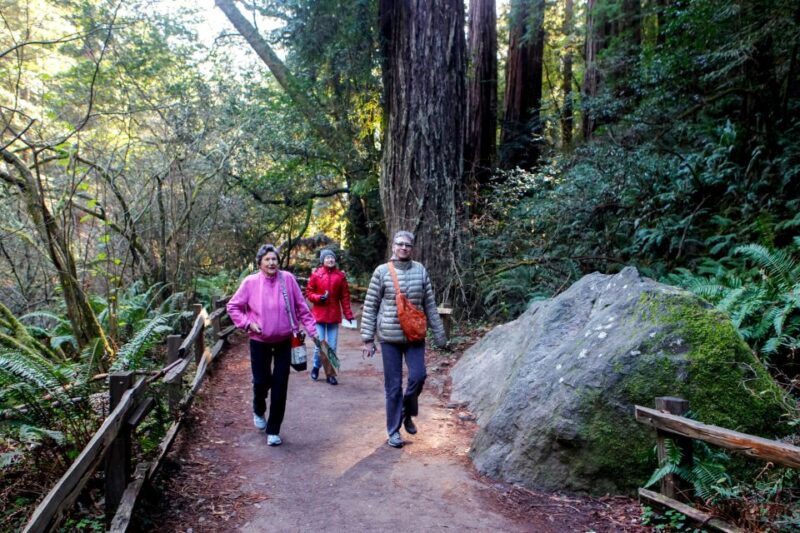 From San Francisco: Muir Woods & 3 Wineries in Napa & Sonoma - The Expertise of Guides and Overall Experience