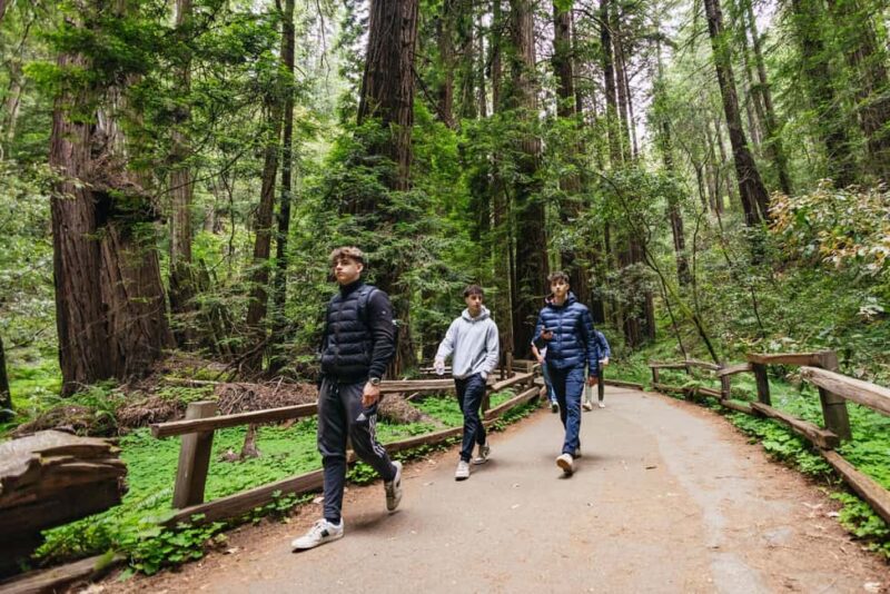 From San Francisco: Muir Woods, Sausalito and Alcatraz Tour - Logistics: Pickup Points and Tour Structure