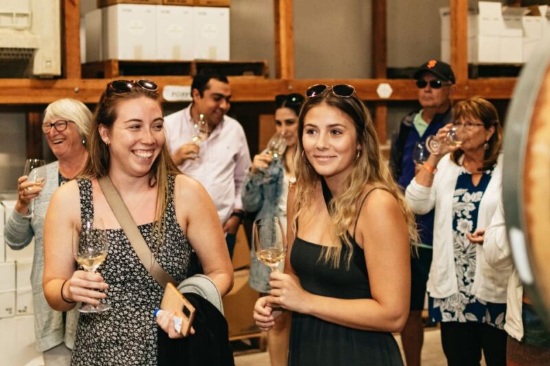 From San Francisco: Napa & Sonoma Valley Full-Day Wine Tour - Review Highlights and Practical Tips