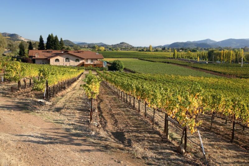 From San Francisco: Napa Valley Private Tour - Personalized Transportation from San Francisco to Napa Valley