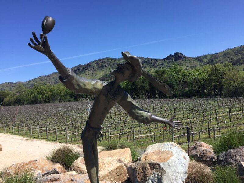 From San Francisco: Napa Valley Private Tour - Food and Beverage Options During the Tour